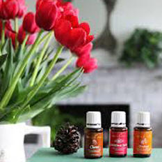 Young Living Tulips